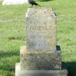 Andrew Nidever's tombstone Andrew Nidever's tombstone