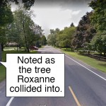 Tree that Roxanne crashed into.