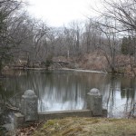 Calvary Pond at the Calvary Cemetery where children drowned one November evening. Calvary Pond at the Calvary Cemetery