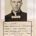 Fitzgerald prison booking photo